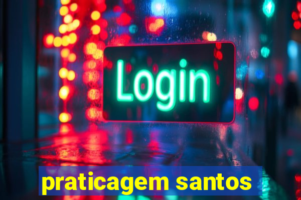 praticagem santos